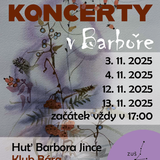 Podzimní koncert jinecké pobočky ZUŠ J. J. Ryby 1